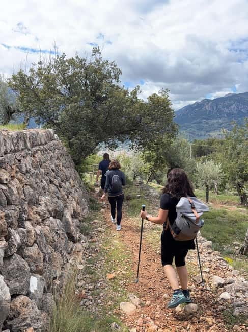From Palma: Sierra de Tramuntana Hiking with small Picnic - GR221 on foot: dry stone walls, terraces, and water history