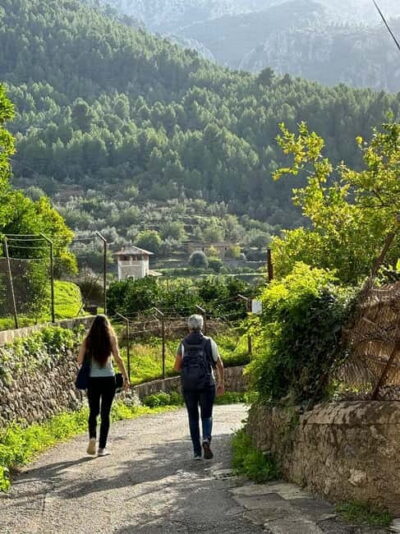 From Palma: Sierra de Tramuntana Hiking with small Picnic - Getting to the mountains: short effort, big payoff