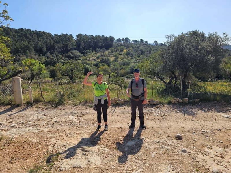 From Palma: Sierra de Tramuntana Hiking with small Picnic - Route changes that keep the hike enjoyable in real weather
