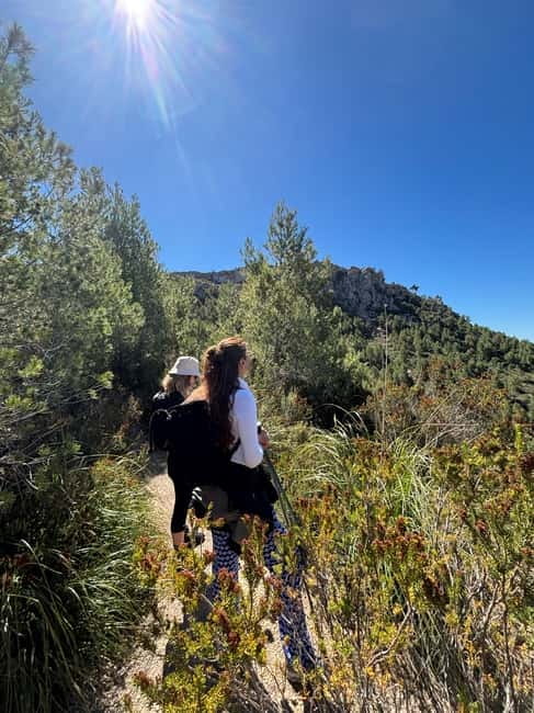From Palma: Sierra de Tramuntana Hiking with small Picnic - What the small-group format changes for you