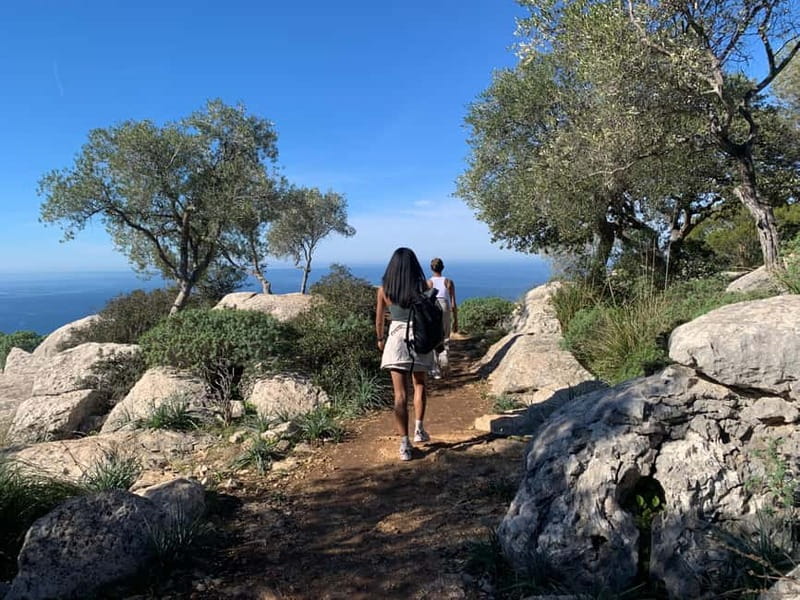 From Palma: Valldemossa Tour and Mountain Viewpoint Hike - Four viewpoints over the Mediterranean: why the stops matter