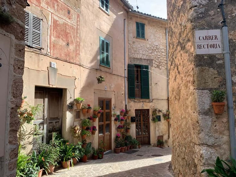 From Palma: Valldemossa Tour and Mountain Viewpoint Hike - Price and value: is $105 a fair deal?