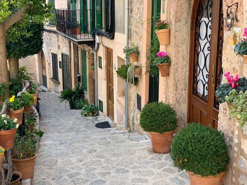 From Palma: Valldemossa Tour and Mountain Viewpoint Hike - Tips I’d follow before you go