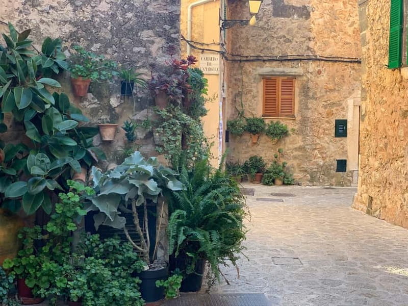 From Palma: Valldemossa Tour and Mountain Viewpoint Hike - The easy mountain hike: short distance, big views