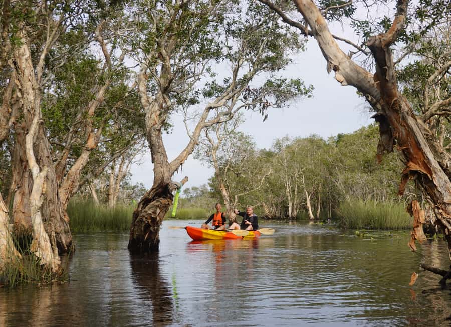 From Pattaya: Rayong Adventure Hike and Kayak Day Trip - Tung Prong Tong mangroves: golden light and an easy nature stroll