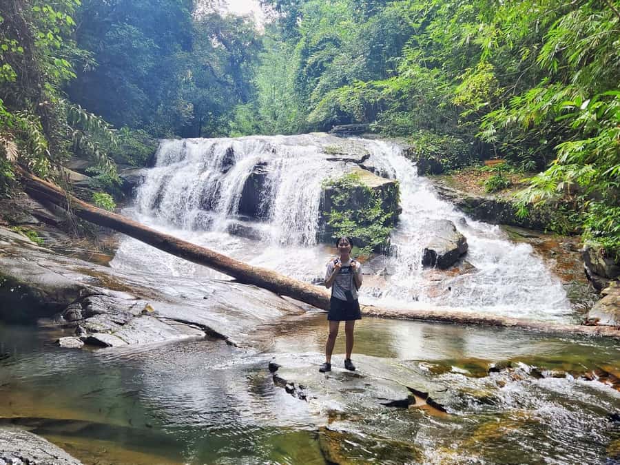 From Pattaya: Rayong Adventure Hike and Kayak Day Trip - Kayaking the Samet forest wetlands from Rayong Botanical Garden