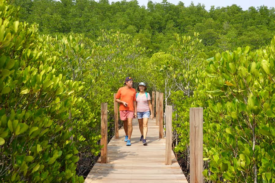 From Pattaya: Rayong Adventure Hike and Kayak Day Trip - Why the expert guides and small group make a difference