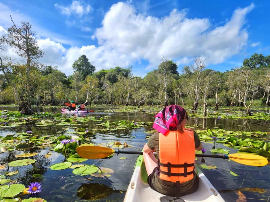 From Pattaya: Rayong Adventure Hike and Kayak Day Trip - Price and value: what you’re really paying for