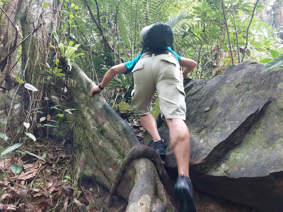 From Phuket: Guided Rainforest Hike with Lunch - Where this rainforest hike actually takes place