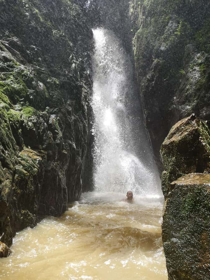 From Phuket: Guided Rainforest Hike with Lunch - Tonsai Waterfall: the 3-hour grind that feels like jungle cinema