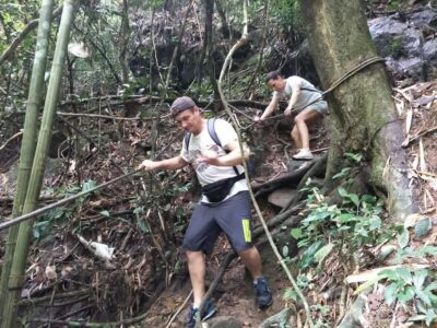 From Phuket: Guided Rainforest Hike with Lunch - Pickup, group size, and how the day gets paced