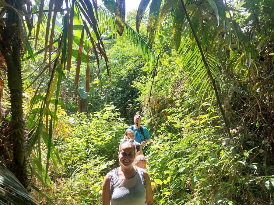 From Phuket: Guided Rainforest Hike with Lunch - Lunch at the end: Thai food that actually fits the day