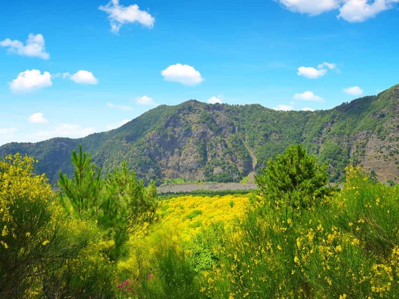 From Pompeii: Mount Vesuvius Hike & Tour by Bus - Pompeii pick-up at Via Roma, 32 and how the timing works