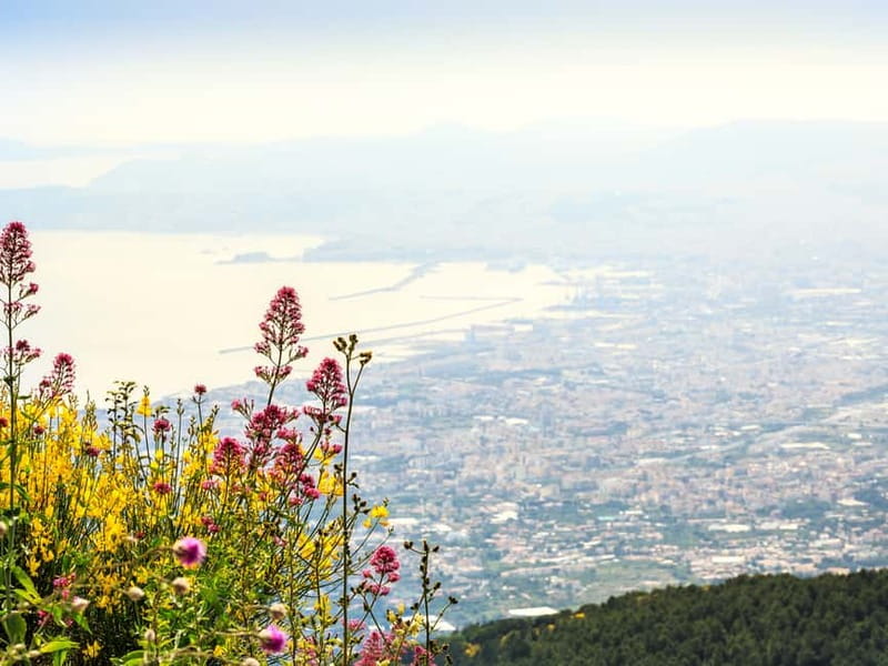 From Pompeii: Mount Vesuvius Hike & Tour by Bus - Vesuvius National Park time: switchbacks, rim contours, and crater access