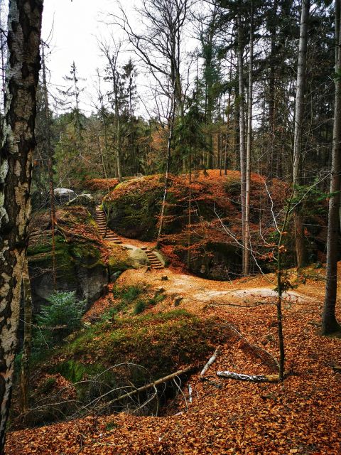 From Prague: Full-Day Bohemian Paradise Guided Hiking Trip - A Day in Bohemian Paradise From Prague