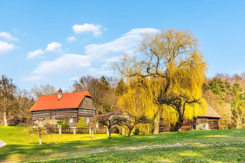 From Prague: Hike the Hidden Valleys of Bohemian Paradise - Who this tour suits best (and who should pass)