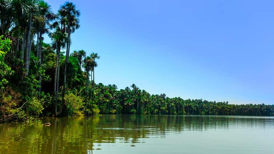 From Puerto Maldonado | Jungle hike + Sandoval Lake | - The canoe on Lake Sandoval: where otters and caimans enter the story