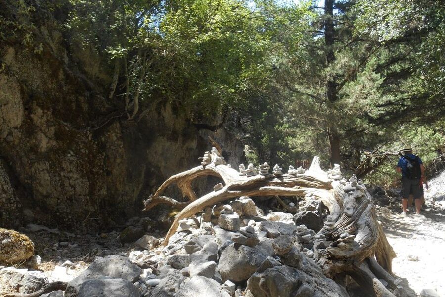 From Rethymno/Chania: Imbros Gorge Hike - Key Highlights You’ll Care About