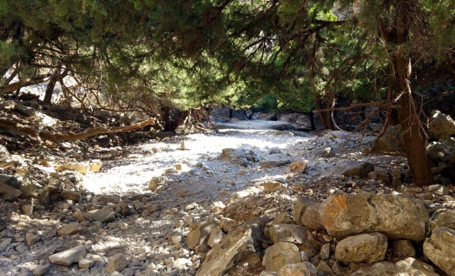 From Rethymno/Chania: Imbros Gorge Hike - Imbros Gorge: A Shorter Day With Real Big-Scenery Moments