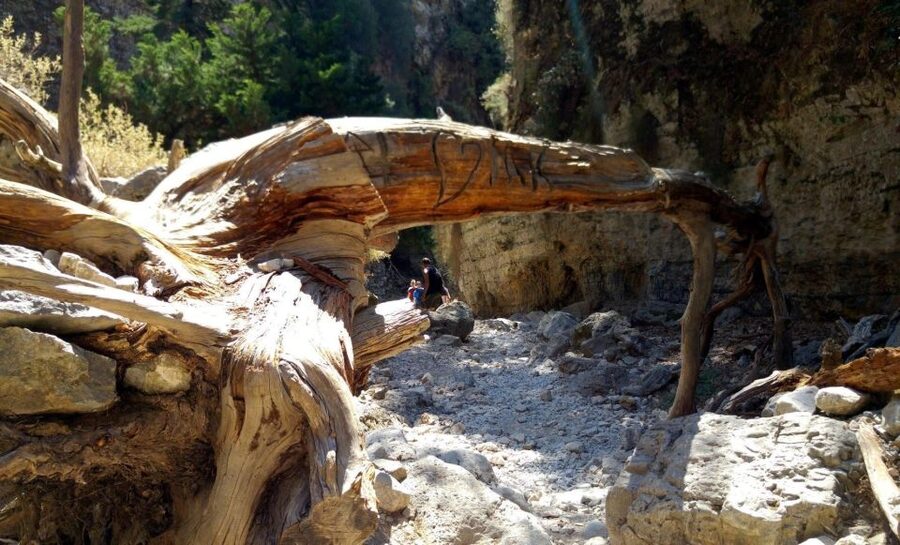 From Rethymno/Chania: Imbros Gorge Hike - The Famous Spots: Airplane, Stenada, Mesofarango, and Xepitira Arch
