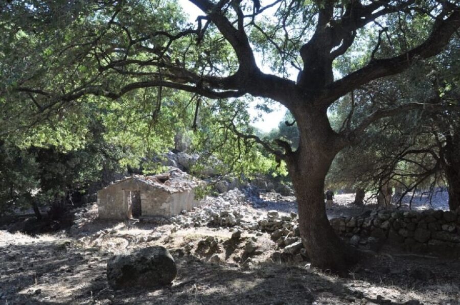 From Rethymno/Chania: Imbros Gorge Hike - Practical Tips That Make the Difference