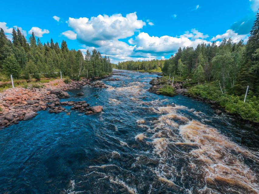 From Rovaniemi: Vikaköngäs Forest Hiking Tour - Key Things That Make This Hike Worth Your Time