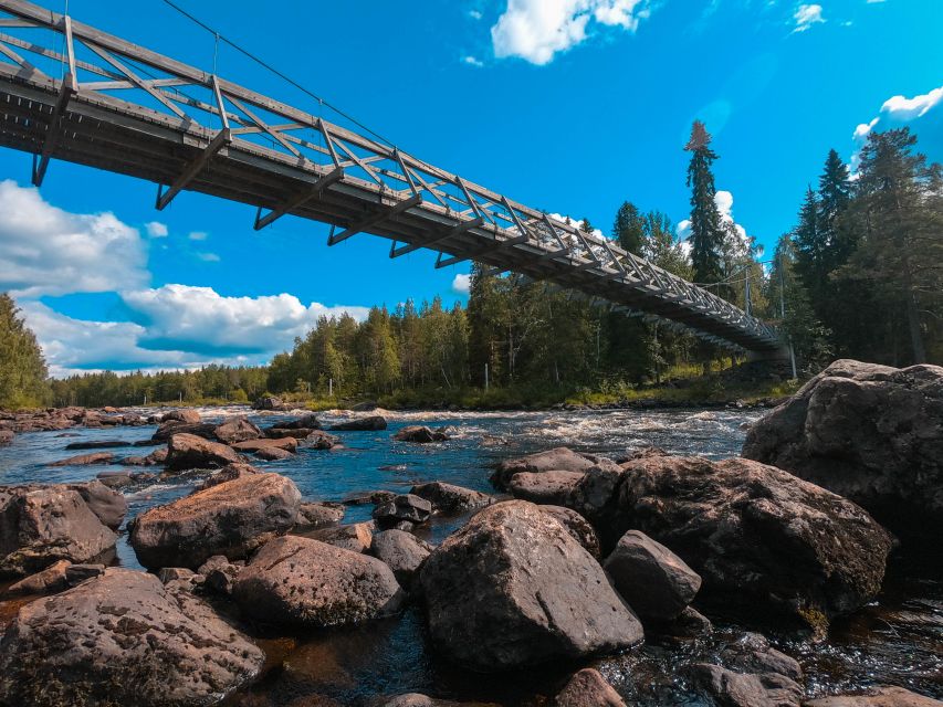 From Rovaniemi: Vikaköngäs Forest Hiking Tour - Walking Through Forest and Gorge Country