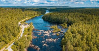 From Rovaniemi: Vikaköngäs Forest Hiking Tour - The 2.5-Hour Plan: Short Walk, Real Variety