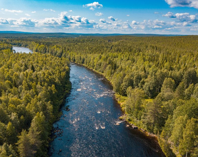 From Rovaniemi: Vikaköngäs Forest Hiking Tour - The Wooden Hanging Bridge and Roaring Water