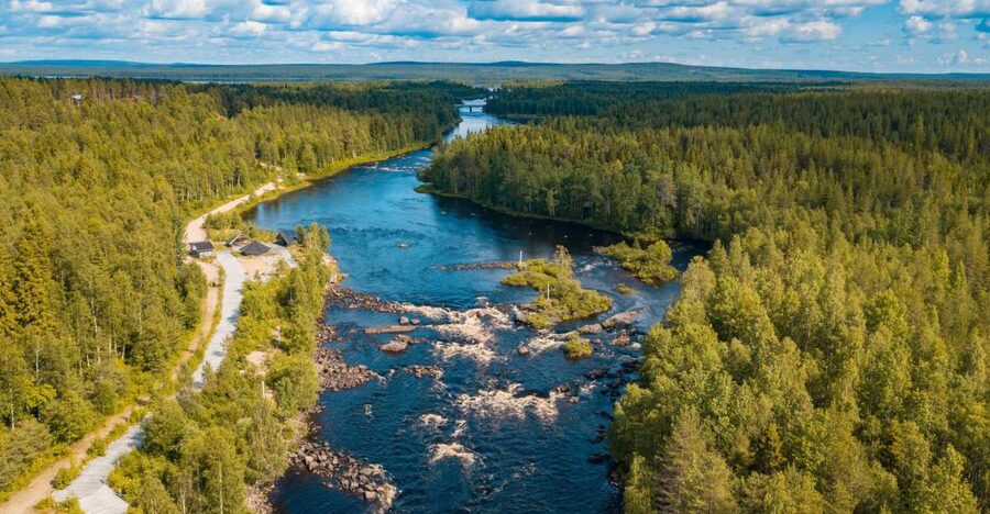 From Rovaniemi: Vikaköngäs Forest Hiking Tour - The 2.5-Hour Plan: Short Walk, Real Variety