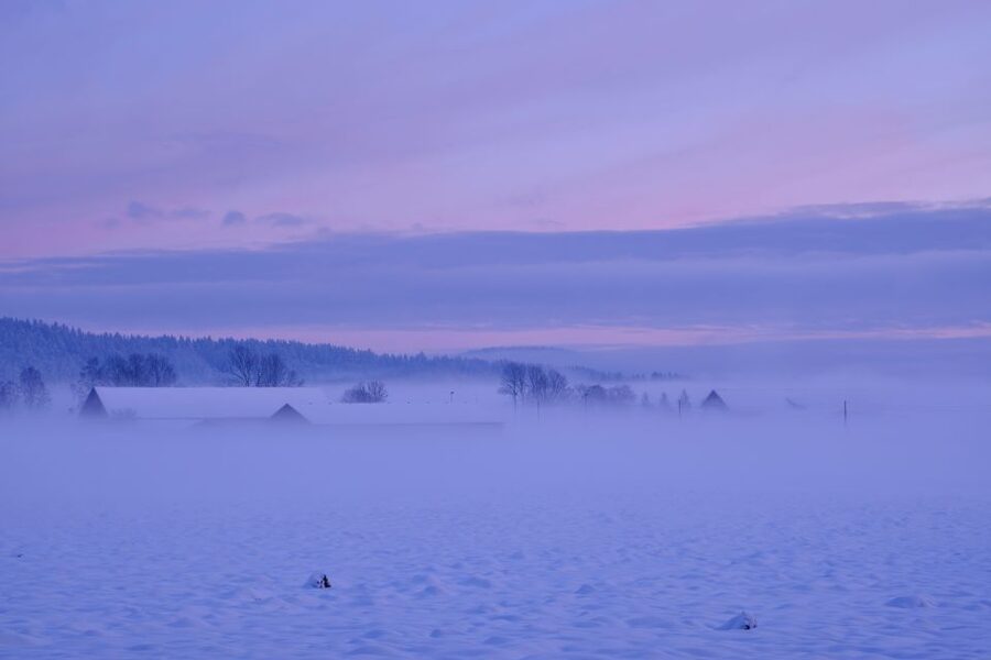 From Rovaniemi: Winter Wonderland Hike with a Hot Drink - Key highlights to know before you go