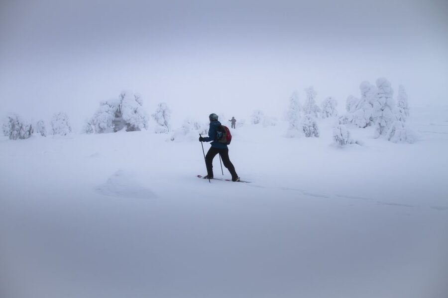 From Rovaniemi: Winter Wonderland Hike with a Hot Drink - The 6-hour flow: drive out, hike, warm-up, head back
