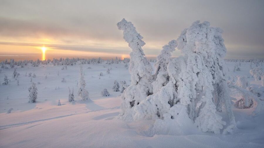 From Rovaniemi: Winter Wonderland Hike with a Hot Drink - Gear check: snow boots cost extra, and wind can steal your warmth