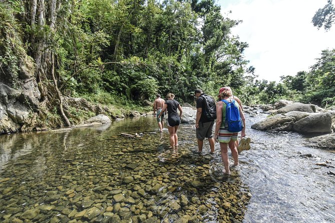 From San Juan: El Yunque Rainforest Hiking Adventure - Getting to El Yunque: The 7:30 am San Juan rhythm