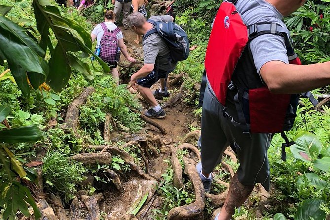 From San Juan: El Yunque Rainforest Hiking Adventure - Transportation, timing, and packing light for a no-locker day