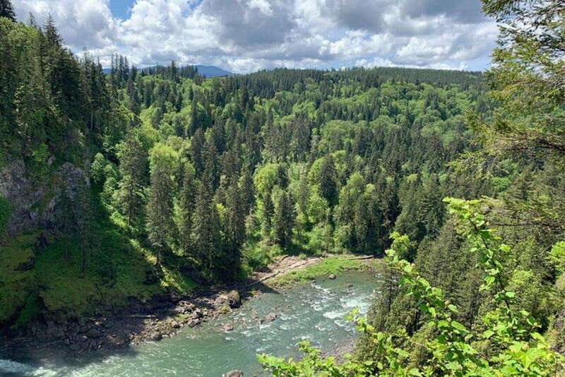 From Seattle: Pacific Northwest Waterfalls & Hiking Tour - Olallie State Park: the drive turns into forest time