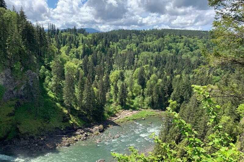 From Seattle: Pacific Northwest Waterfalls & Hiking Tour - Snoqualmie Falls: 270 feet of stop-what-you’re-doing energy