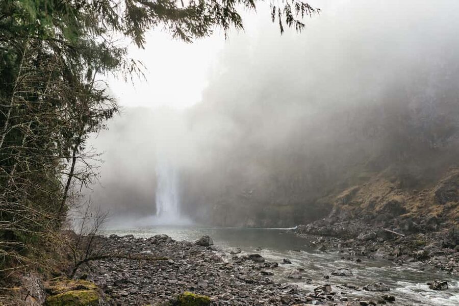From Seattle: Visit Snoqualmie Falls and Hike to Twin Falls - The Van Ride and Nature Focus: What the Morning Feels Like