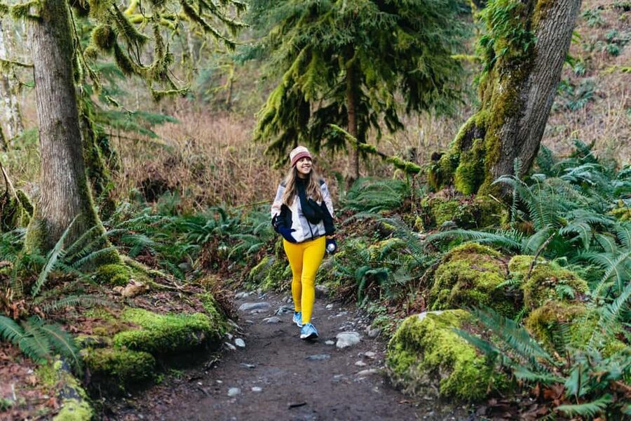 From Seattle: Visit Snoqualmie Falls and Hike to Twin Falls - Where It Starts in Seattle: Pioneer Square and Zeitgeist Coffee