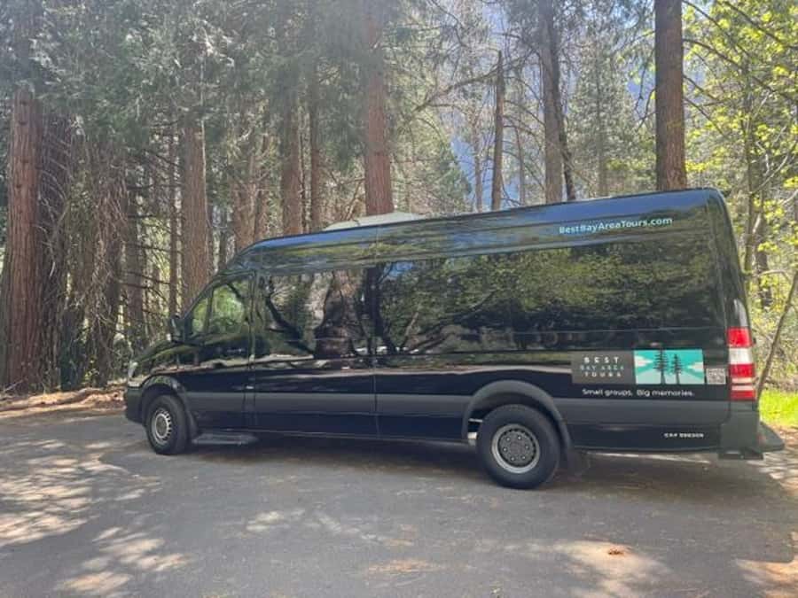 From SF: Yosemite Day Trip with Giant Sequoias Hike & Pickup - Timing, Weather, and Seasonal Surprises You Can Plan For