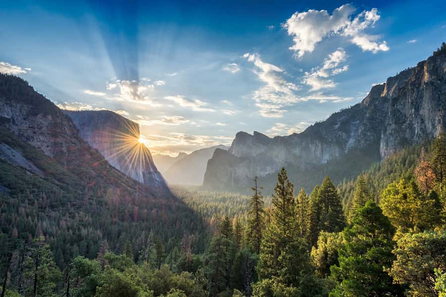 From SF: Yosemite Day Trip with Giant Sequoias Hike & Pickup - Who This Yosemite Day Trip Is Best For