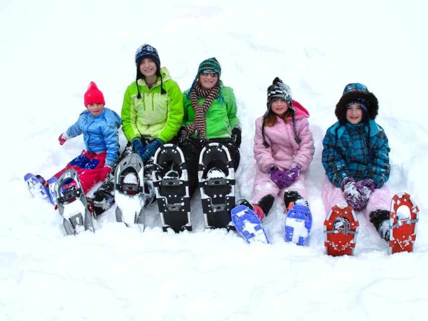 From Sirkka: Levi Summit Guided Nature Snowshoeing Tour - Key highlights at a glance