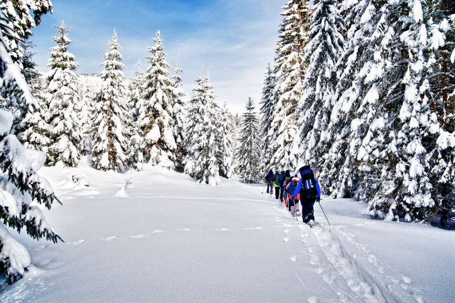 From Sirkka: Levi Summit Guided Nature Snowshoeing Tour - Levi Summit snowshoeing: what it is and what it feels like