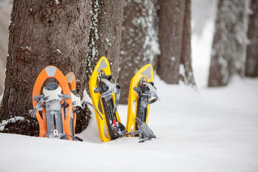From Sirkka: Levi Summit Guided Nature Snowshoeing Tour - Getting fitted and geared up in Levi (so you can focus on the walk)