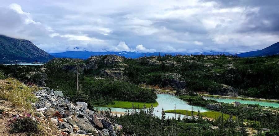 From Skagway: Skagway City & White Pass Summit Guided Tour - Skagway to Klondike Highway: Gold Rush history in motion