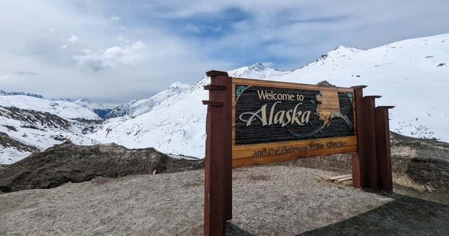From Skagway: Skagway City & White Pass Summit Guided Tour - Overlooks on the way up: wildlife odds and fast photography timing