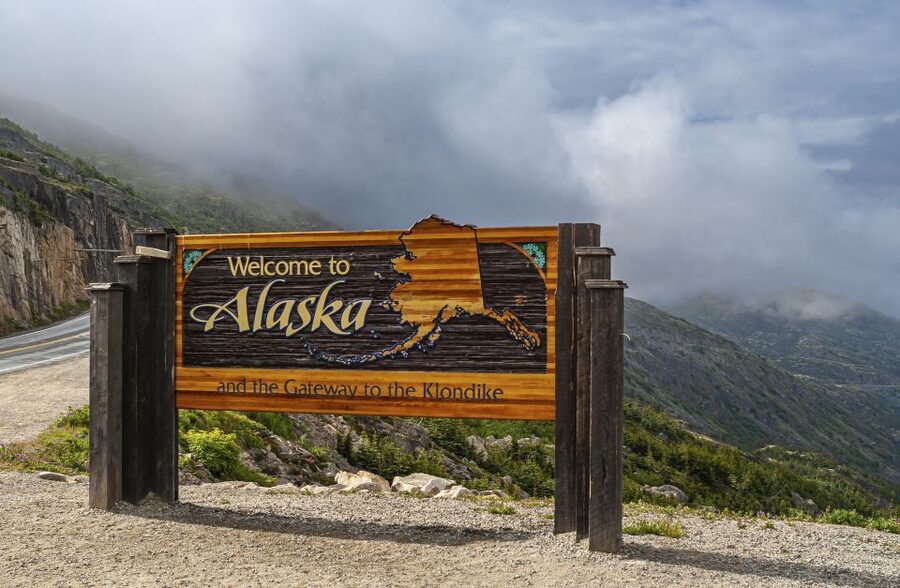 From Skagway: White Pass Summit Guided Bus Tour - Why White Pass Summit by bus works better than the train