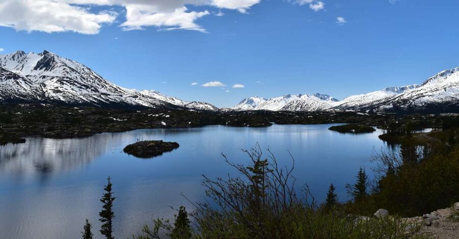 From Skagway: White Pass Summit Guided Bus Tour - Gold Rush Cemetery and Reid Falls: quick walk, big emotional payoff