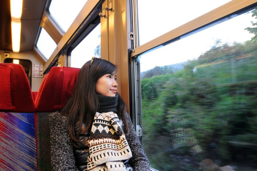 From Skagway: White Pass Summit Guided Bus Tour - Skagway Overlook and the inlet views while your ship is nearby