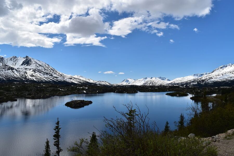 From Skagway: White Pass Summit Guided Bus Tour - Who should book, and who should skip this White Pass day trip